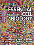 Essential Cell Biology