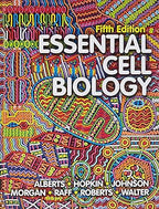 Essential Cell Biology
