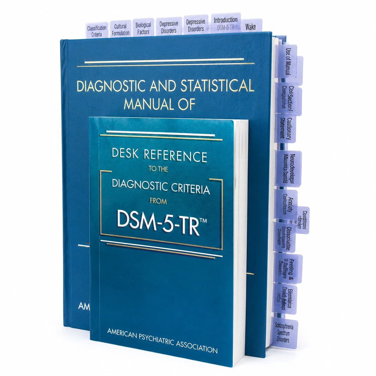 Diagnostic Statistical Manual & Desk Reference DSM-5 TR Hardcover Pre Tabbed