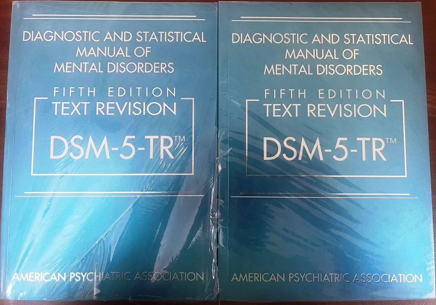 2 x Diagnostic and Statistical Manual of Mental Disorders Text Revision Dsm-5-TR