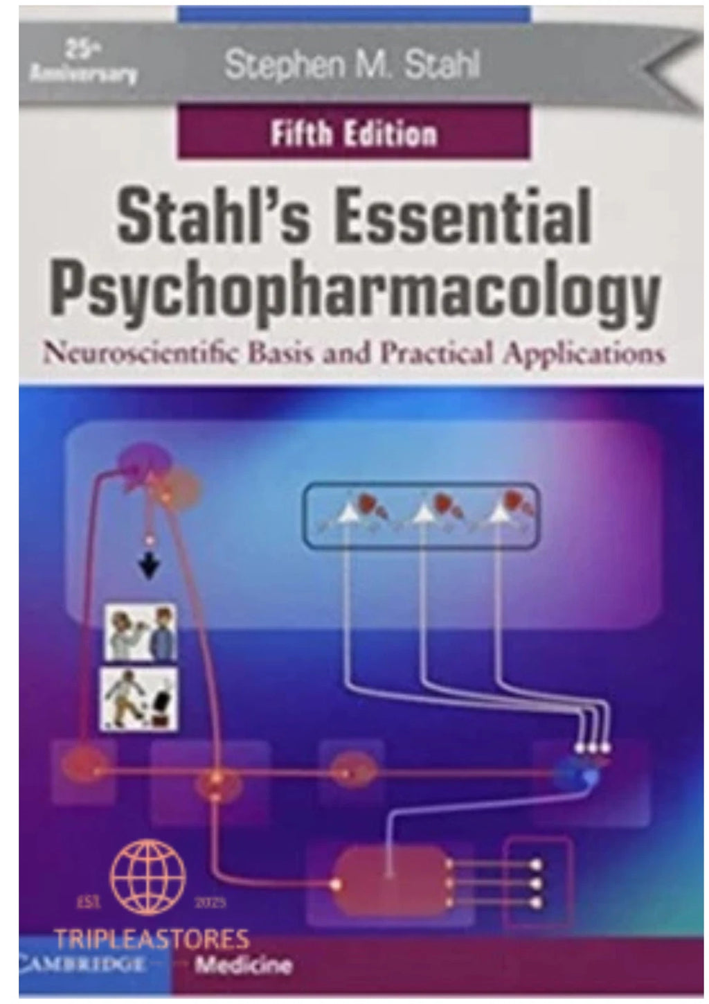 Stahl's Essential Psychopharmacology : Neuroscientific Basis and Practical Applications by Stephen M. Stahl (2021, Trade Paperback)