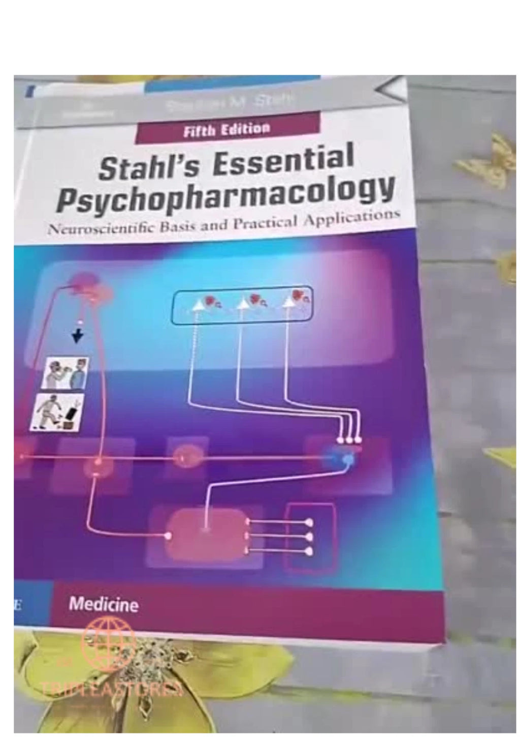 Stahl's Essential Psychopharmacology : Neuroscientific Basis and Practical Applications by Stephen M. Stahl (2021, Trade Paperback)